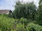Nógrád megye - Diósjenő