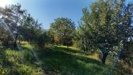 Eladó családi ház, Püspökszilágy 2 szoba 66 m² 39.5 M Ft