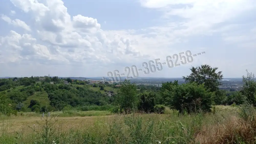 Pest megye - Vác