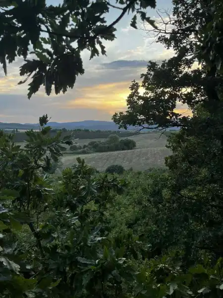 Eladó mezőgazdasági ingatlan, Berkenye 70000 m² 33 M Ft